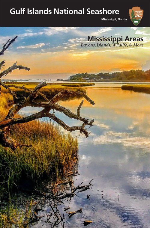 brochure cover