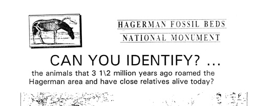 brochure cover