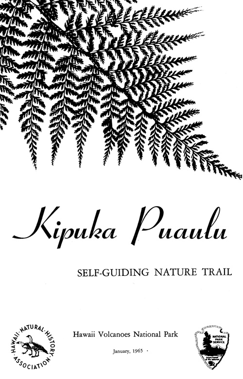 brochure cover