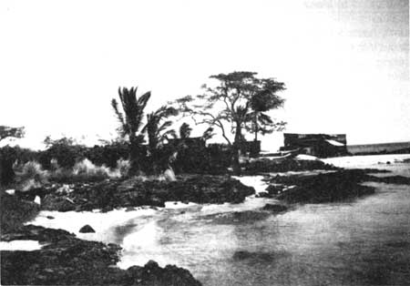 Pu'u'oina Heiau