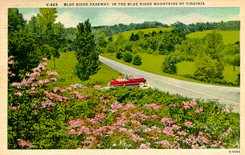 postcard