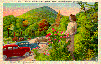 postcard