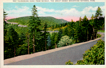postcard