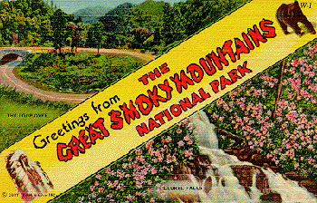 postcard