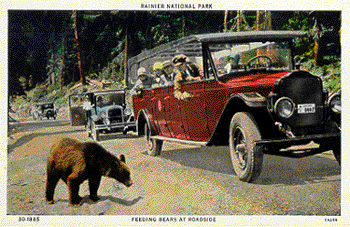 postcard