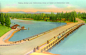 postcard