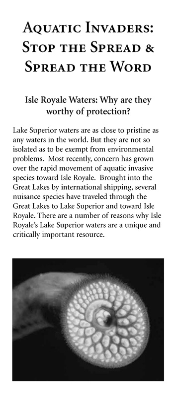 brochure cover