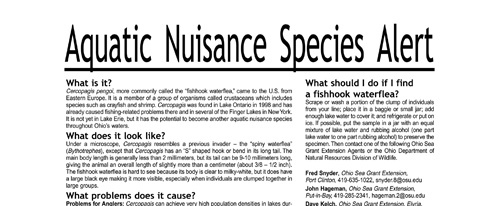 brochure cover