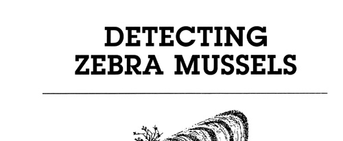 brochure cover