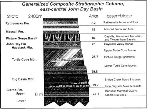 Relation of strata to fossil assemblages