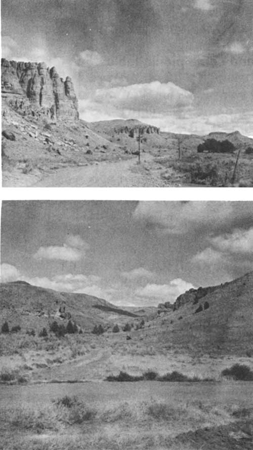 The Palisades