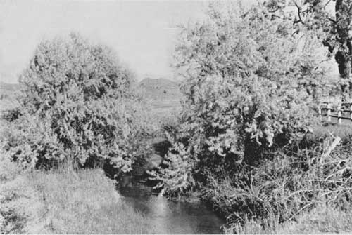 NPS proposed campground along Bridge Creek