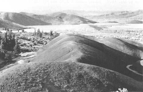 Water impoundment as seen from the Painted Cove Trail