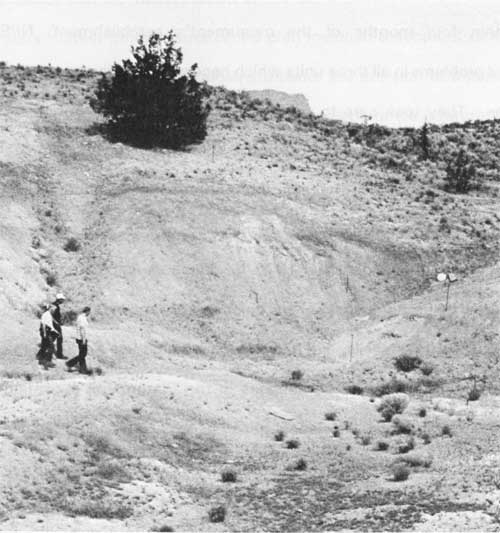 View of the mammal quarry in July 1977