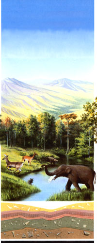 mascall formation sketch
