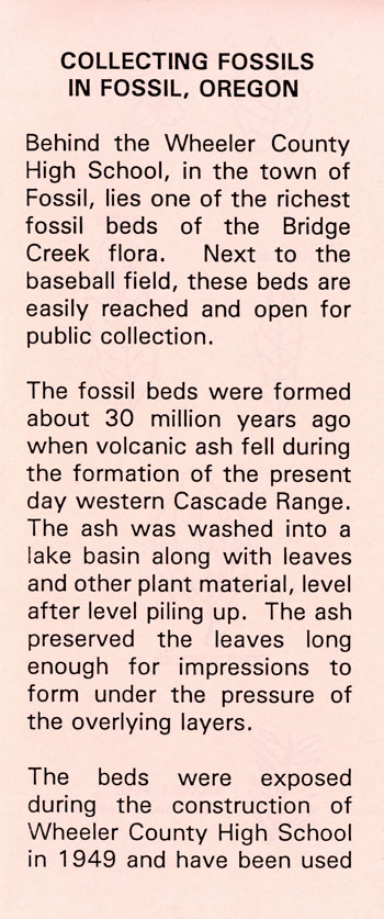 brochure cover