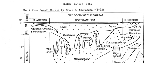 brochure cover