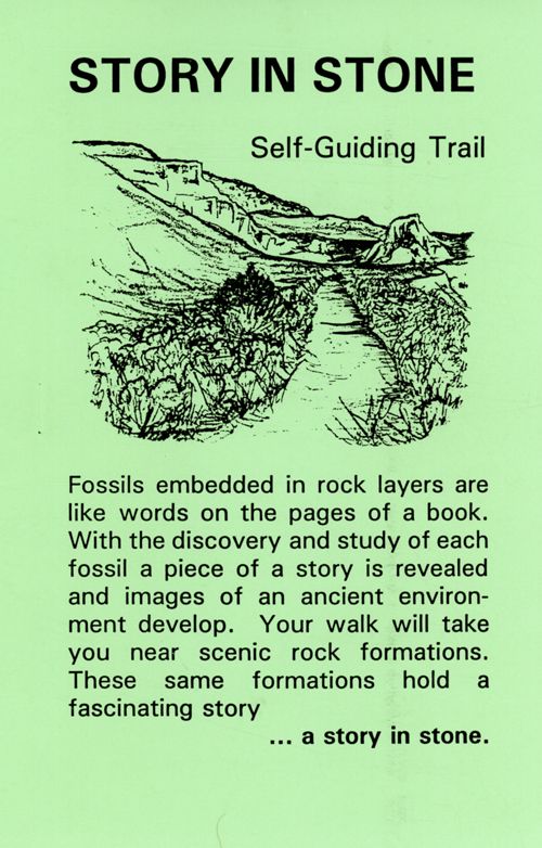 brochure cover