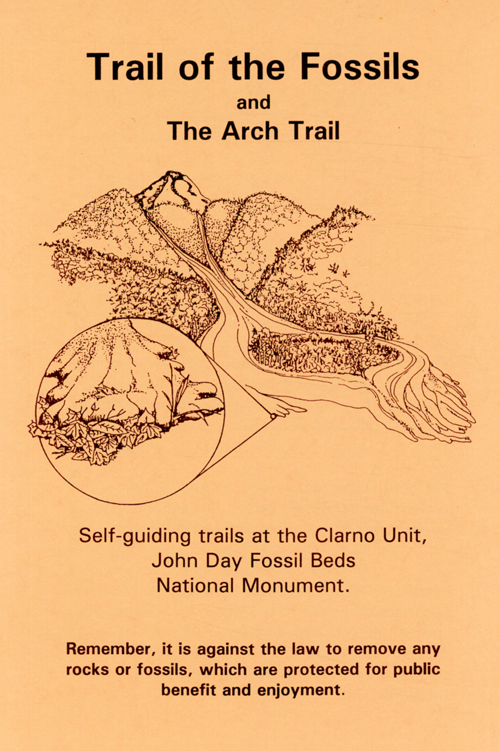 brochure cover