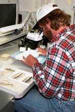 scientist performing lab work