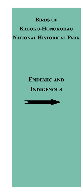 brochure cover