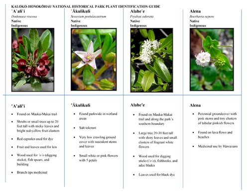 brochure cover