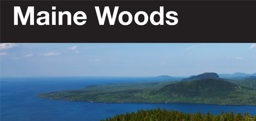 brochure cover