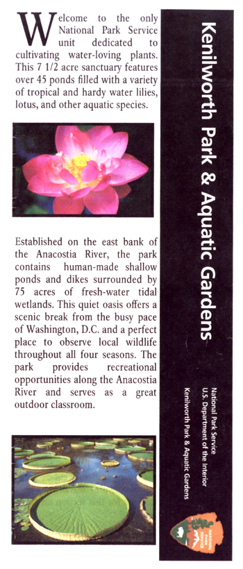 brochure cover