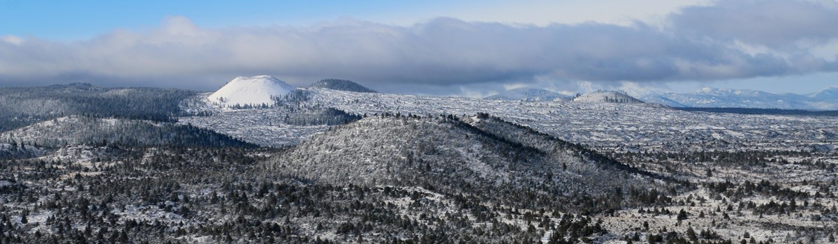 Park Photo