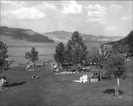 Image1079.gif