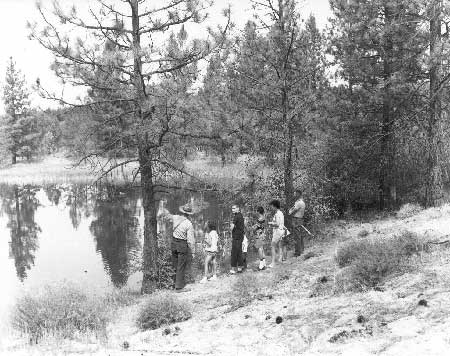 Ranger-led nature walk
