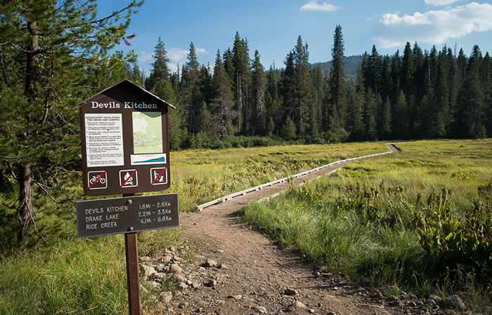 Meadow Trail