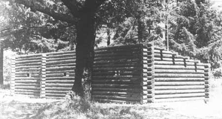 Construction of Fort replica