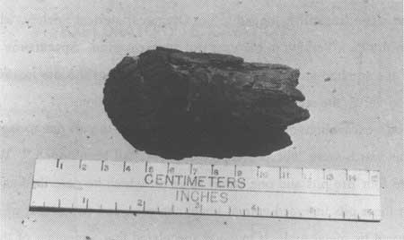 Materials collected by Caywood