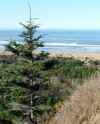 Beard's Hollow
