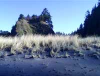dunes and rock outcroppings