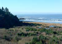 Beard's Hollow