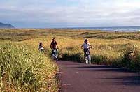bicyclists