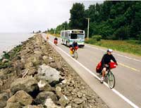 bicyclists and bus