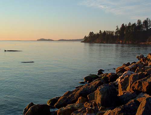 Cape Disappointment