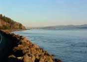 Tongue Point