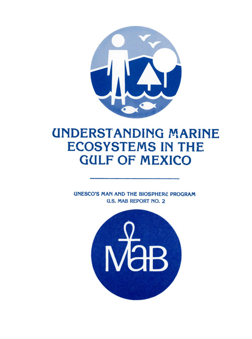 report cover