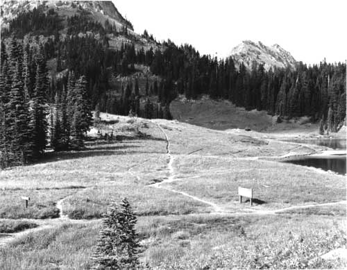 Social trails at Tipsoo Lake, September 23, 1963