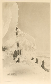 card cover