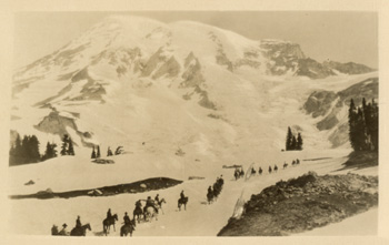 card cover
