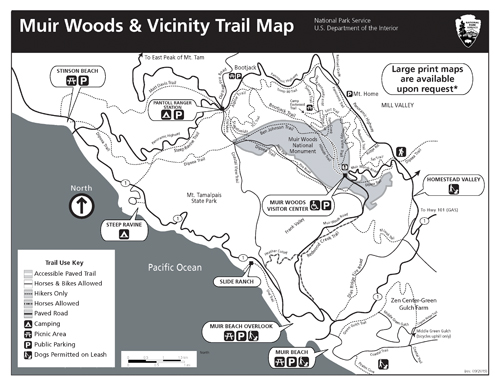 brochure cover