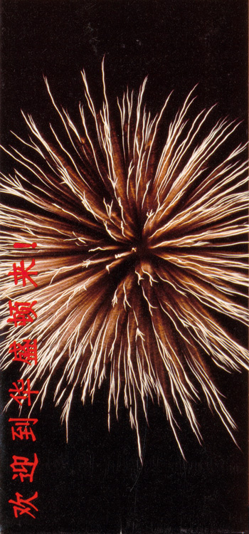 brochure cover