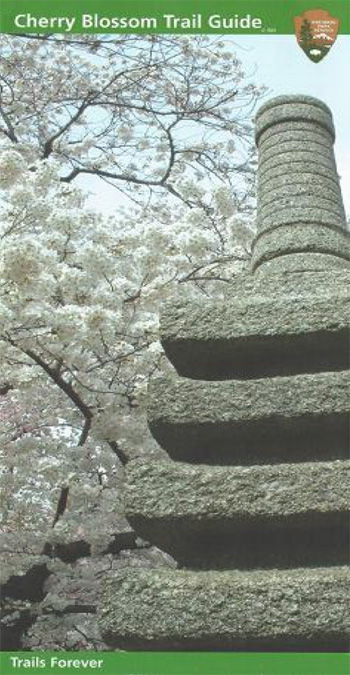 brochure cover
