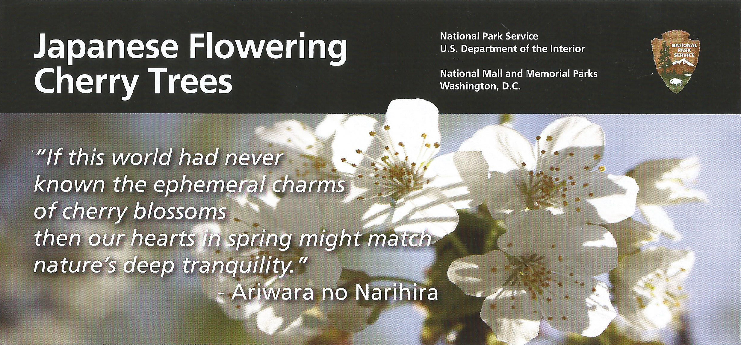 brochure cover