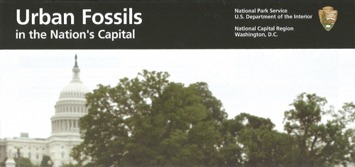 brochure cover